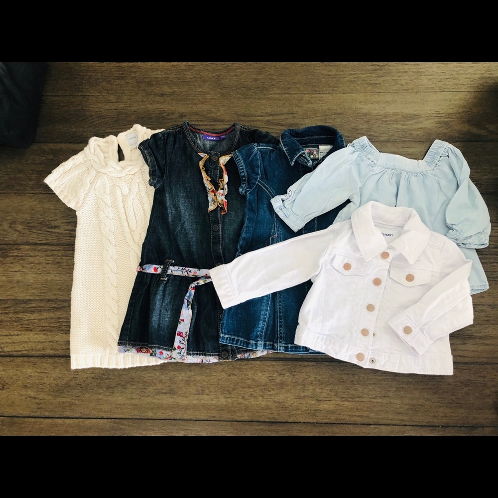 Baby Girls Clothing Bundle (size 12-18 months)
